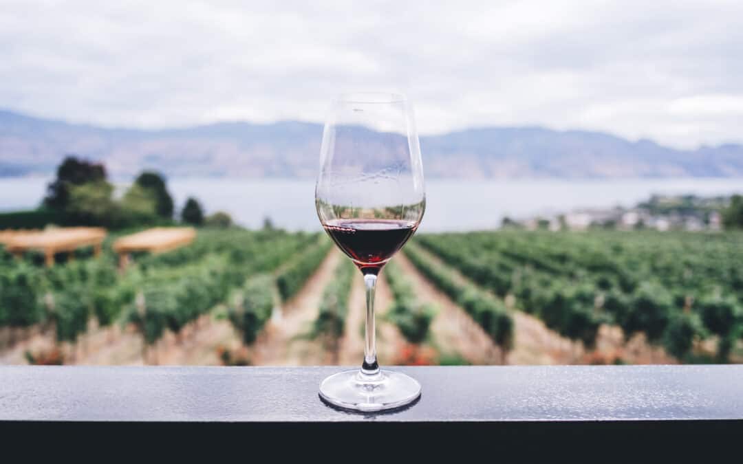 7 Wine Tours To Experience Once A Lifetime (Guest Post by Rebecca Siggers)